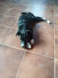Pepa
