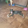 Pepa