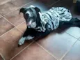 Pepa