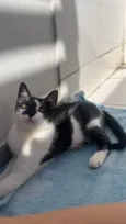 Fred