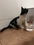 Fred