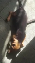 Billy