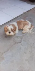 Lucky