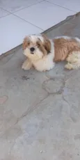 Lucky