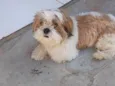 Lucky