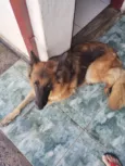 Akyra