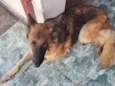 Akyra