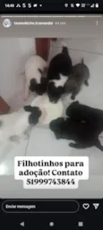 Eles não tem nome