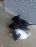 Eles não tem nome