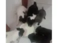 Eles não tem nome