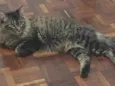 Mel