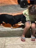Salsi