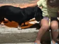 Salsi