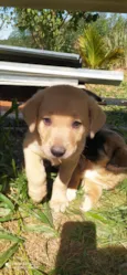Ted