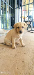 Ted
