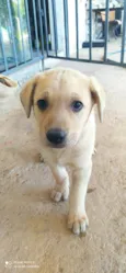 Ted