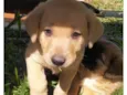 Ted