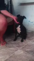 Ainda não tem nome...