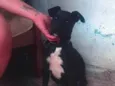 Ainda não tem nome...