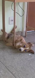 Marley 