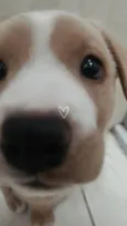Marley 