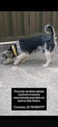 Não sei