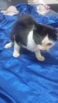 nao sei
