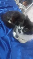 nao sei