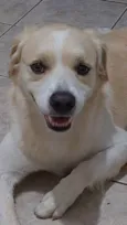 Duke