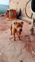 Ralf