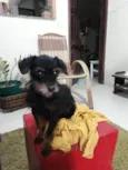 Cláudio