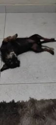 Cláudio
