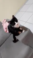 Josefa 