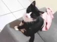 Josefa 