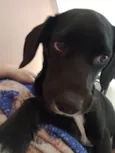 Meia noite
