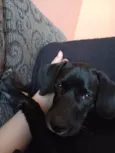 Meia noite
