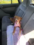 Princesa