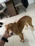 Princesa