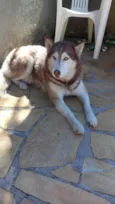 Maia
