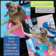 Chuchuzinho