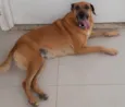 Teka