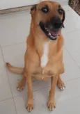 Teka