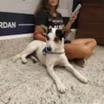 Manchinha
