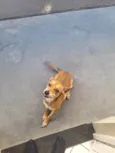 Mel