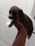 Ainda sem nome