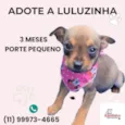 Luluzinha