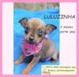 Luluzinha