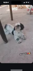 Lucy
