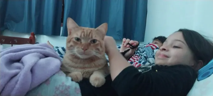 Gato ra a SRD-ViraLata idade 2 anos nome Bolito