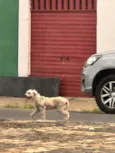 Não sei